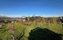 Coimbra, Coimbra District 3000-000