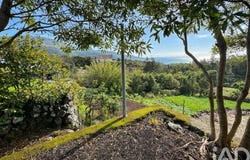 Ilha do Pico, Azores
