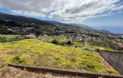 Canhas, Madeira 9360
