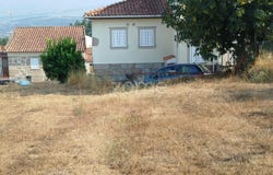 Mangualde, Viseu District