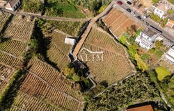 Canhas, Madeira 9360