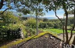 Lajes Do Pico, Autonomous Region of the Azores 9930
