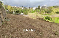 Canhas, Madeira 9360