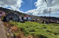 Canhas, Madeira 9360