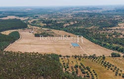 Penamacor, Castelo Branco 6090