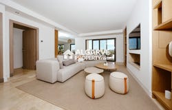 Montenegro, Algarve 8005