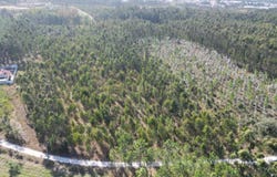 Chousos, Maceira, Leiria District 2405-029