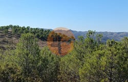 Vaqueiros, Algarve