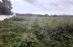Mealhada, Aveiro District