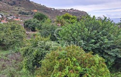 Arco Da Calheta, Madeira 9370