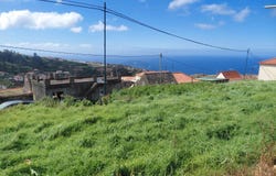 Canhas, Madeira