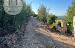 Monchique, Algarve 8550