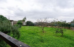 Pinheiro da Bemposta, Aveiro District