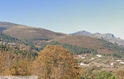 Vila Marim, Vila Real District