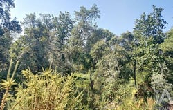 Pedrógão Grande, Leiria 3270
