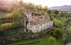 ANREADE, Viseu District
