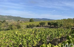 Alijó, Vila Real 5070-011