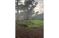 Almada, Setubal