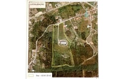 Pelariga, Leiria 3105