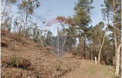 Braga, Braga