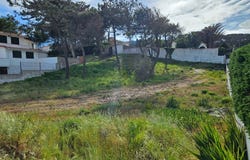 Vau, Leiria 2510