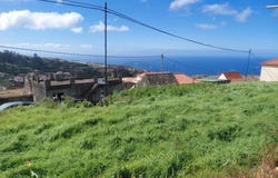Canhas, Madeira 9360