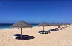 Comporta, Setúbal 7580