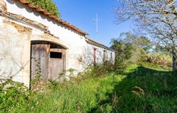 Rua da Escola, Cela, Leiria District 2460-358