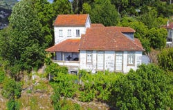 Cinfães, Viseu 4690