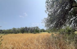 Paderne, Algarve 8200