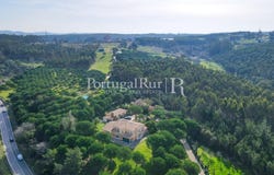 Salir De Matos, Leiria 2500