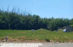 Santa Comba Dão, Viseu District 3440-312