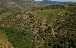 Santa Leocádia, Viseu 5120
