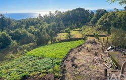 Ilha do Pico, Azores