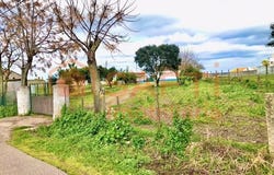 Alpiarça, Santarém District