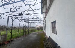 Chaves, Vila Real District