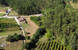 Coz, Leiria 2460