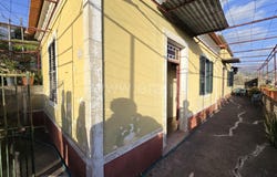 Canhas, Madeira 9360