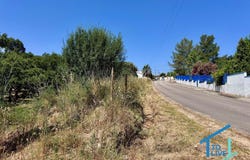Tomar, Santarém District 2305