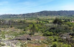 Aldeia Do Souto, Castelo Branco 6200