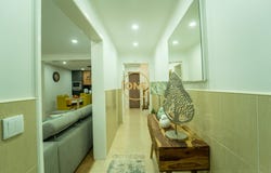 RIBEIRA GRANDE, Azores
