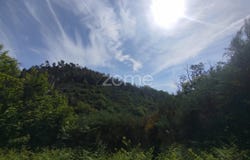 Seia, Guarda District
