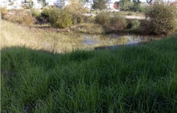 An, Coimbra District