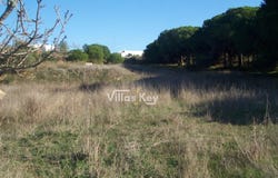 Montenegro, Algarve 8005