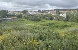 Perosinho, Porto 4415