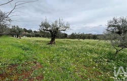 Coimbra, Coimbra District