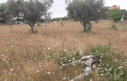 Bouça, Bragança District 5385-031