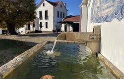 Santo Quintino, Lisbon 2590
