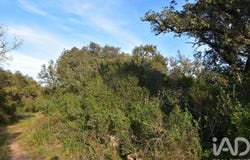 Santarém, Santarém District