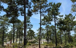 Carvalhal, Setubal 7570-783